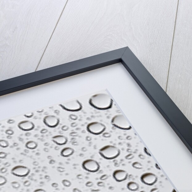 Water droplets on glass by Assaf Frank
